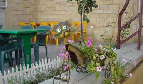 Во дворе гостевого дома Тихий Берег, г. Анапа, п. Витязево