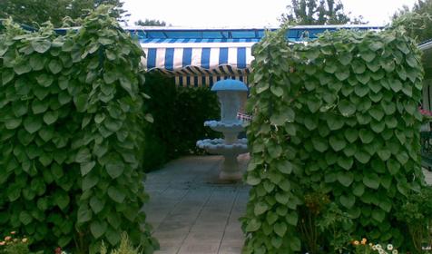 Гостиница У Пани, г. Анапа, п. Витязево