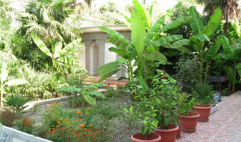 Во дворе частной гостиницы Виталий, г. Сочи, п. Лазаревское