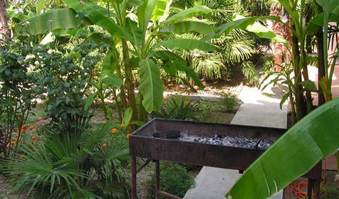 Во дворе частной гостиницы Виталий, г. Сочи, п. Лазаревское