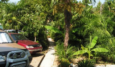 Во дворе частной гостиницы Виталий, г. Сочи, п. Лазаревское