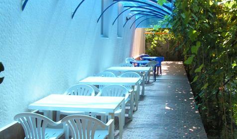 Во дворе частной гостиницы Виталий, г. Сочи, п. Лазаревское