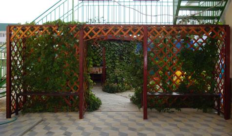 Двор, гостевой дом Енисей, г. Анапа. кп. Витязево