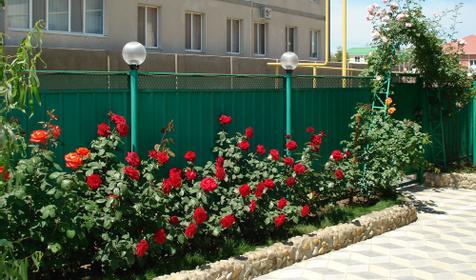 Двор, гостевой дом Енисей, г. Анапа. кп. Витязево