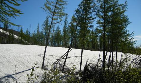 Природа Кошехабльского района