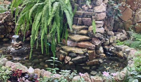 Во дворе гостиницы Сиар, г. Сочи, Адлерский район