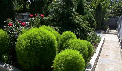 Двор мини-отеля Фем Ландия, г. Геленджик, с. Архипо-Осиповка