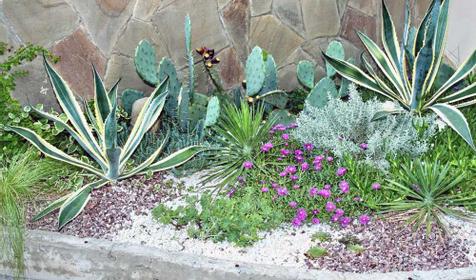 Во дворе гостиницы Сиар, г. Сочи, Адлерский район