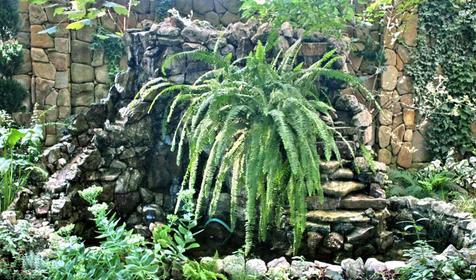 Во дворе гостиницы Сиар, г. Сочи, Адлерский район