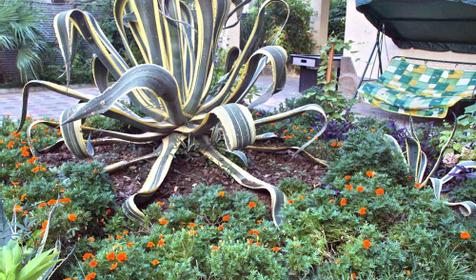 Во дворе гостиницы Сиар, г. Сочи, Адлерский район