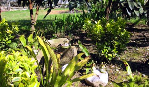 Двор, гостиный дом Виола, г. Сочи, п. Кудепста