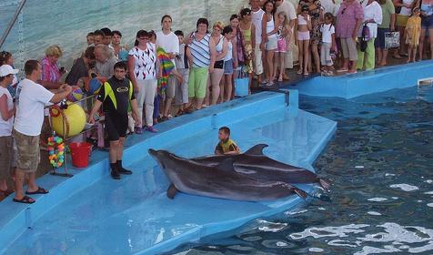 Дельфинарий развлекательного центра Морская звезда, г. Сочи, п. Лазаревское