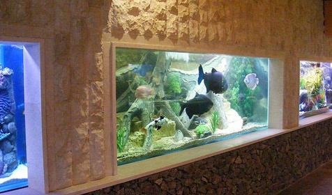 Аквариум развлекательного центра Морская звезда, г. Сочи, п. Лазаревское