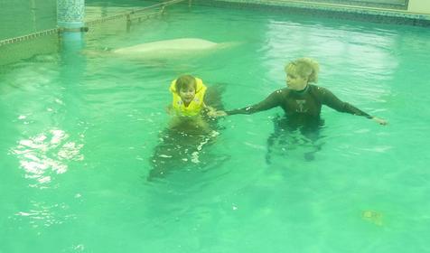 Дельфинотерапия (плавание с дельфинами) на территории развлекательного центра Морская звезда, г. Сочи, п. Лазаревское