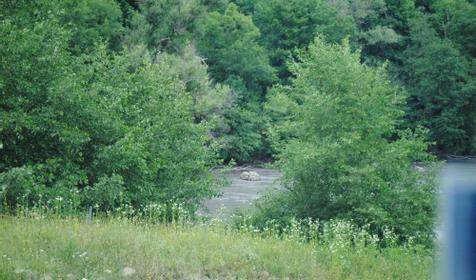 Мини-гостиница Кордес, р-н Майкопский, ст. Даховская