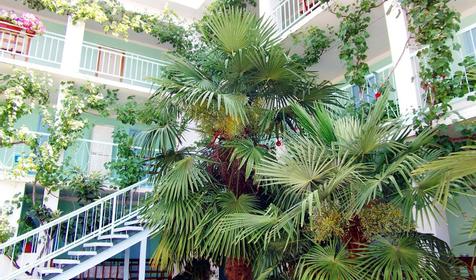 Гостевой дом Грант, г. Сочи, Лазаревский р-н, с. Вардане