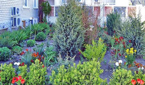 Территория гостевого дома Леонидас, г. Анапа