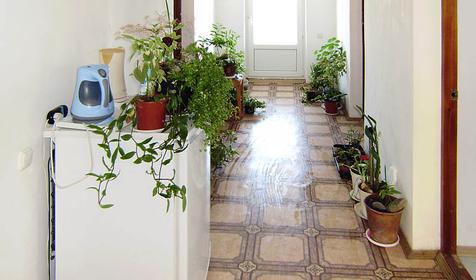 На этаже гостевого дома Леонидас, г. Анапа