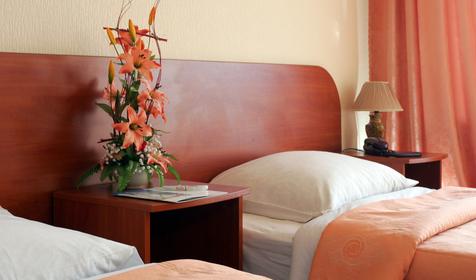 Номер гостиницы Москва, г. Сочи