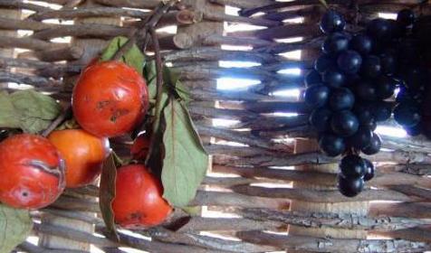 В рационе ваших детей всегда сезонные южные фрукты и овощи