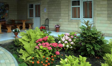 Двор гостиницы Белая лебедь, г. Геленджик