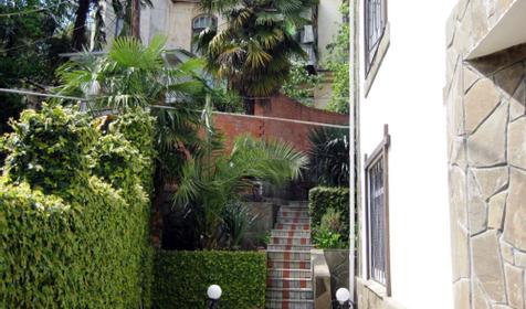 Во дворе мини-гостиницы Чайка, г. Сочи