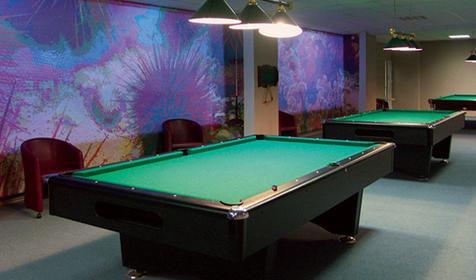 Бильярд, база отдыха Казачий берег, Ейский район, ст. Должанская, Коса Долгая