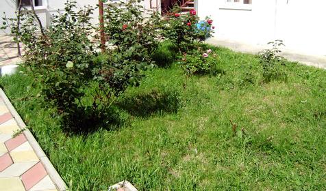 Во дворе гостевого дома Иллиадис, г. Анапа