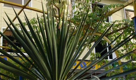 Пансионат гостиничного типа Альбатрос, Туапсинский район, кп. Новомихайловский