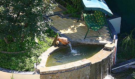 Пруд на территории, гостевой дом Ласточкино гнездо, г. Геленджик, с. Криница