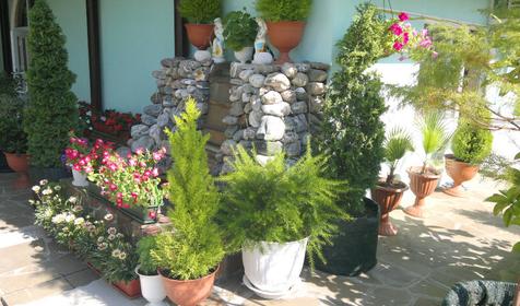 Мини-гостиница У Елены, г. Сочи, Лазаревский р-н, пос. Якорная Щель