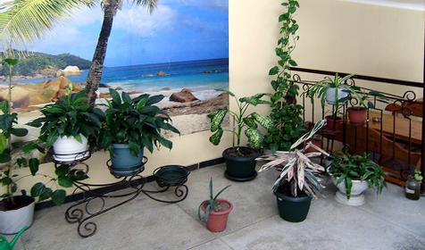 В гостиница Экзотик, г. Сочи, Адлер