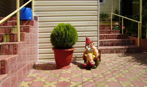 Двор, гостиный дом Виола, г. Сочи, п. Кудепста