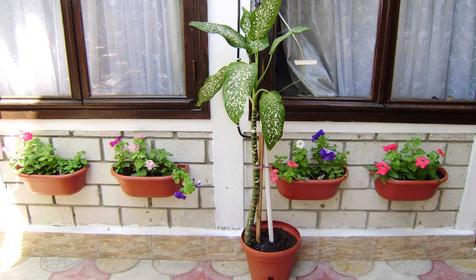 Веранда гостевого дома Диана, г. Анапа