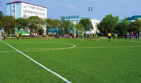 Стадион, санаторий Парус ALL Inclusive, г. Анапа