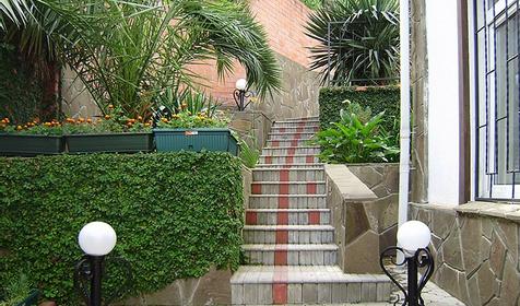 Во дворе мини-гостиницы Чайка, г. Сочи