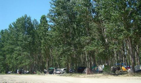 Автокемпинг Лесопарк Ейский, Ейский район, ст. Должанская, Коса Долгая