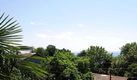 Вид из окна, мини-гостиница Виктория, г. Сочи, Лазаревский район, п. Лоо