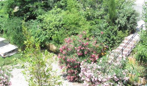 Гостевой дом Золотая рыбка, г. Сочи