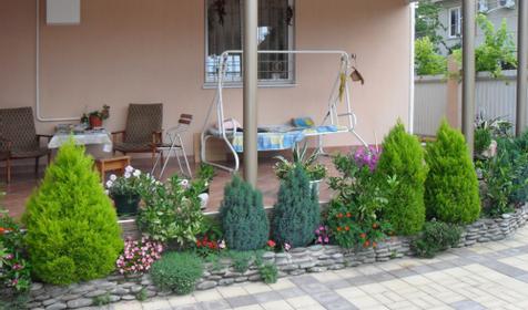 Территория. Мини-гостиница Аракс, г. Сочи, Адлер