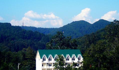 Вид из окна номера оздоровительного центра Гармония, г. Сочи, Лазаревский район, п. Якорная щель