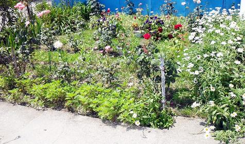 Гостевой дом Шоколад, г. Сочи, п. Головинка