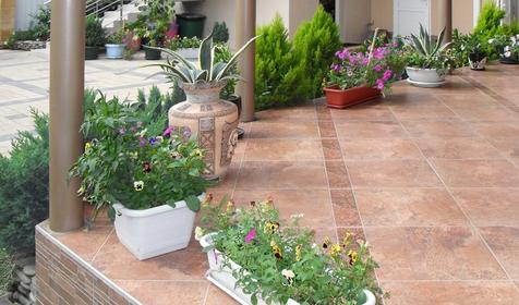 Территория. Мини-гостиница Аракс, г. Сочи, Адлер