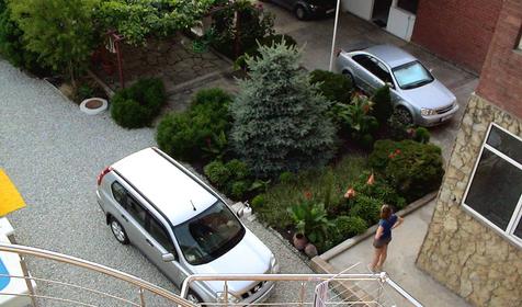 Во дворе мини-отеля Фем Ландия, г. Геленджик, с. Архипо-Осиповка