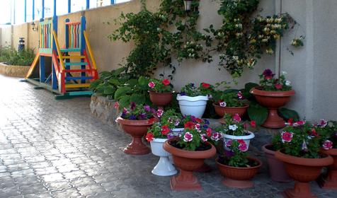 Во дворе мини-гостиницы Лиза, г. Анапа, п. Витязево