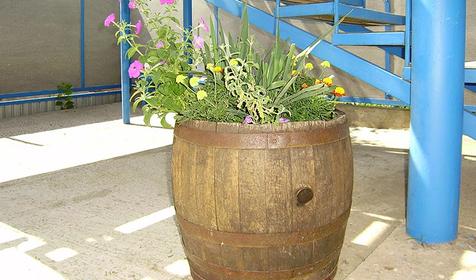 Территория гостевого дома Ариэль, г. Анапа, п. Витязево