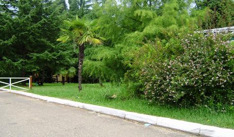 Пляж, г. Сочи, Хостинский район, п. Кудепста