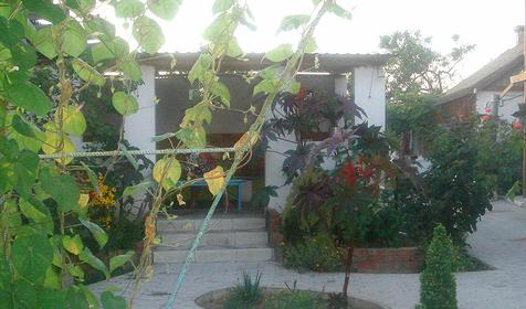 Дворик гостевого дома Дарья, г. Анапа, ст. Благовещенская