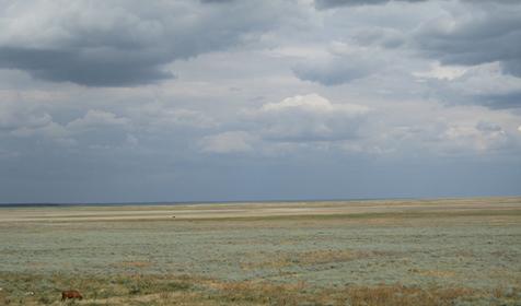 Ейский район