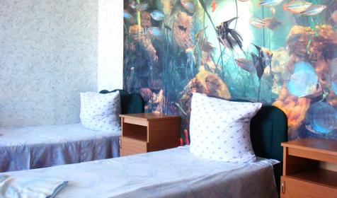 Номер, гостевой дом Ирина, г. Геленджик